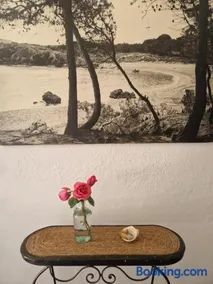 Ca la Teia - Image 2