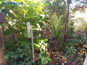 Suites Pico do Cristal - Image 3