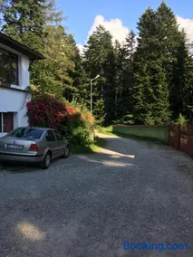 Ancora - Image 3