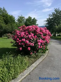 Guesthouse Šebalj - Image 1