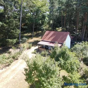 Wald&Wiesengeflüster Zechlinerhütte - Image 1