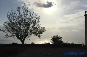 Serreta Island Home - Image 2