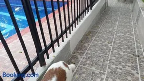 Regresa de Nuevo - Agradable casa de Campo en el Guadual Rivera - Image 3