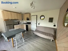 Appartement agréable à deux pas du plan d'eau - Image 1