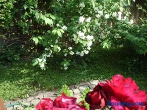 Liza Apartman - Image 2