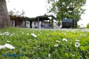 Winzerhof Düring - Image 3