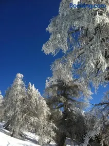 Alpenparadies - Image 3