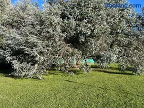 Casa quinta con enorme parque, parrilla, hogar, piscina a 1 hora de CABA - Image 3