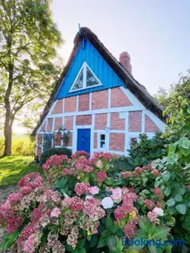 Die blaue Reetdachkate am Deich - Image 1