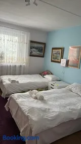 Viksjo Centrum Apartment - Image 2