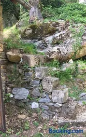 Insolite bergerie dans la forêt - Image 3