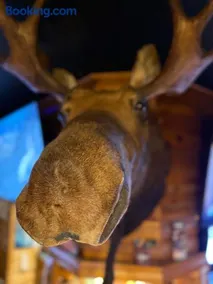 The Moosehead - Image 3