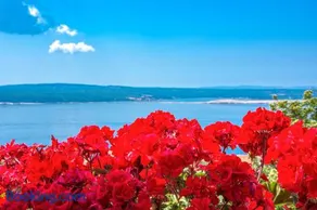 Guest House Djurdjica - Image 1
