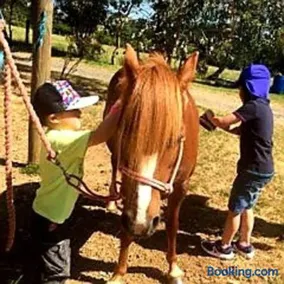 JillyPark Farmstay Experience Discover Authentic Farm Life Complimentary Breakfast Included - Image 5