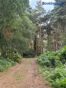 Cobbett Hill Camping - Image 4