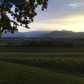 The Look Franciacorta - Image 4