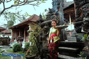 Ramaya Ubud View - Image 5
