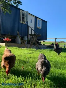 Phoenix Farm Shepherds Hut,Minions, Cornwall - Image 3