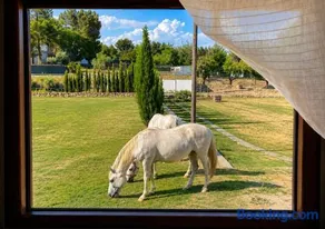 Casa con vistas, piscina y animales de granja, LA CASETA - Image 2