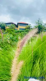 The Yellow Retreat - Image 1