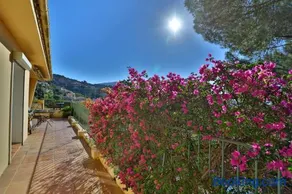 Lantana luxury property - Image 2
