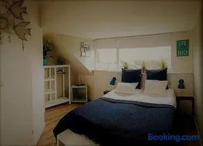 B&B Duinroos De Koog - Texel - Image 3