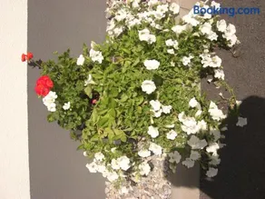 die Gartenwohnung - Tanja Tipotsch - Image 2