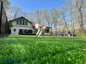Fun Dog Villa Nasu -ファンドッグ ヴィラ那須 - - Image 1