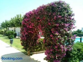 Calan Blanes con piscina - Image 3