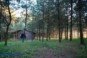 Bijūnų Šilas - Image 3