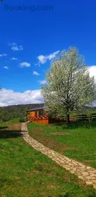 Căsuța de sub cireș - Image 4