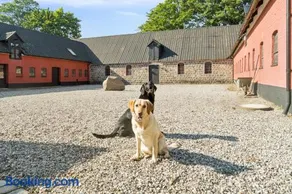 Lovely House With Pool Near Charming Aarhus - Image 4