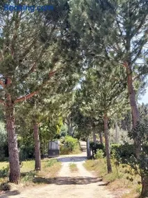 Casa Vale Nicolau - Image 3