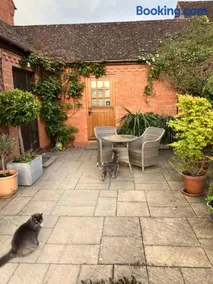 The Burrow - Image 4