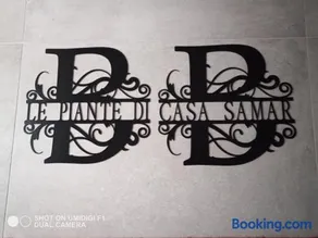 Le piante di casa SaMar - Image 1