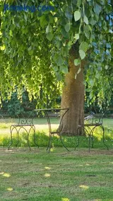 Fehmarn Studio Apartment mit Meerblick und Garten - Image 3
