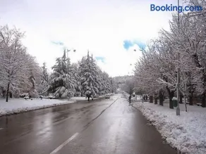 Tranquil Oasis in the Heart of Ifrane - Image 4