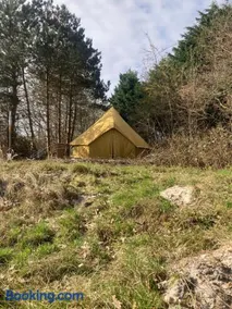 Bell tent Binnen Duin - Image 2