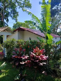 PETIT PARADIS CABAÑA Catemaco Rainforest Nature - Image 1