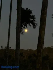 Lotus Jewel Forest Camping - Image 3