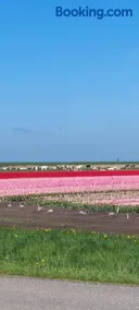 De iisfugel - Image 2
