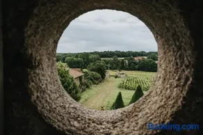 Chateau du Fraisse - Image 3
