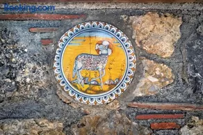 Amaranto - Image 3