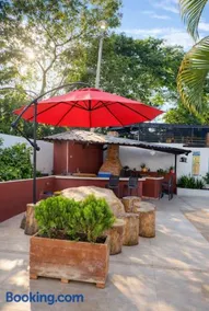 Finca San Pedro - Image 3