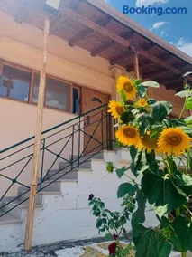 BOKAS EXOTIC HOUSE - Image 2