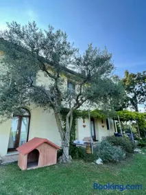 B&B Il Melograno - Image 2
