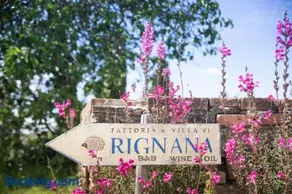 Fattoria di Rignana Winery BnB - Image 3