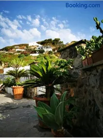 B&B Lunaponzese-Ponza centro - Image 2
