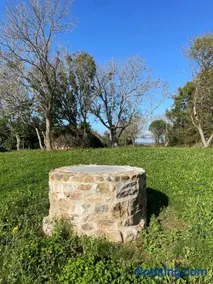 Penty Kael - Image 1