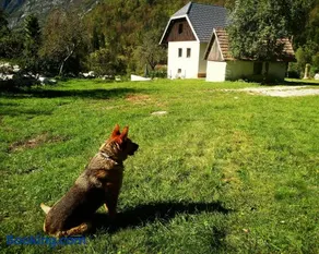 Apartmaji Katrč - Image 2